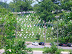 AF Memorial May 2010