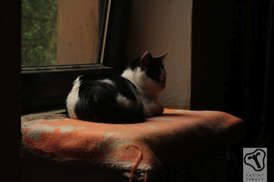 Die Prinzessin und ihr Thron