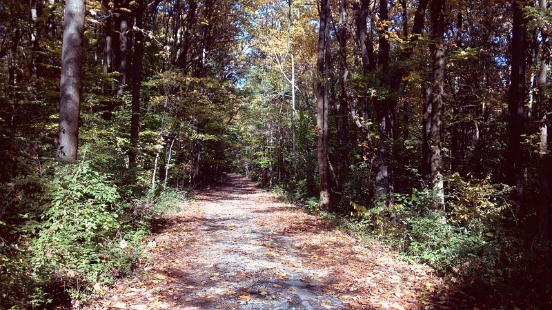 [2011-10-28_11-44-39_828%2520copy%25202%255B9%255D.jpg]
