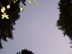 mount_st._hellens