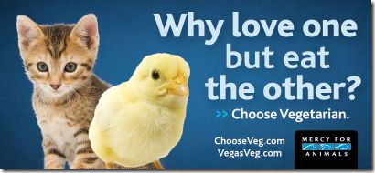 How to Go Vegetarian or Vegan | Veg Coba