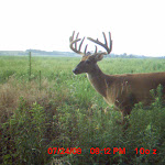 nichols deer 093.JPG