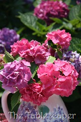 In the Hydrangea Garden 062