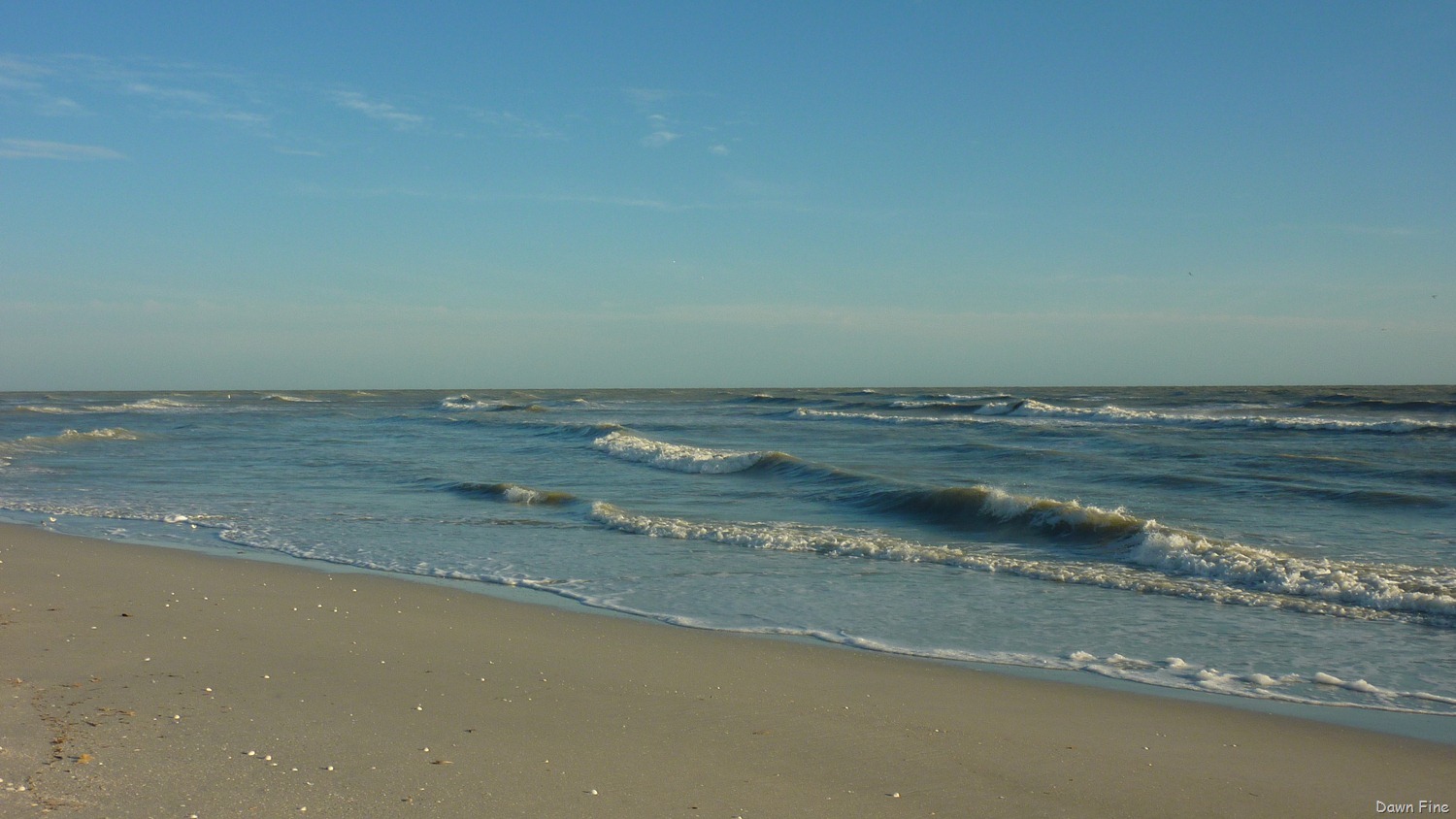 [Sanibel_023%255B3%255D.jpg]