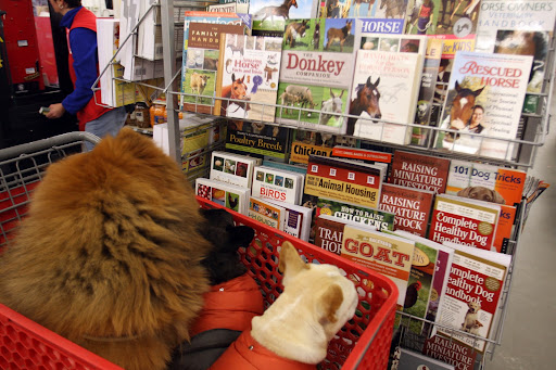 GK, Francesca, this place has everything!  Look at all of these animal books!  Maybe we should get that Donkey Companion to help us understand the donks?