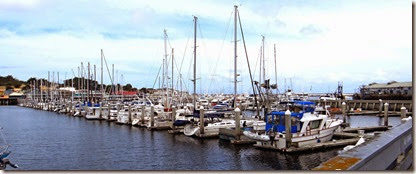 Monterey Bay dock & bike ride 038 redo