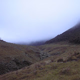 A misty Surya Kencana near Gunung Gede (Daniel Quinn, December 2011)