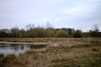IMG_5096.JPG