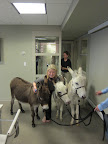 She really loves the donkeys, just as she loves all of her animals.