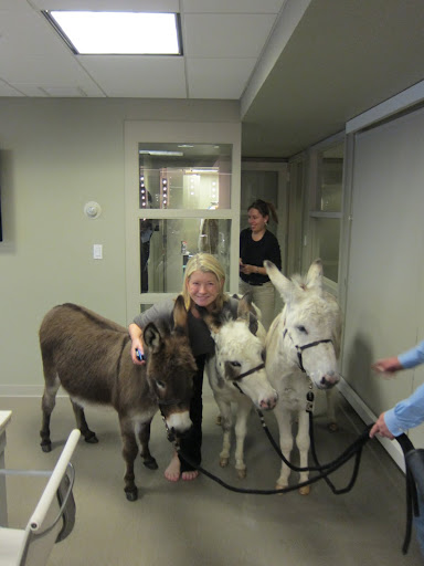 She really loves the donkeys, just as she loves all of her animals.
