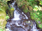 columbia_river_gorge