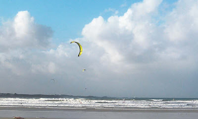 PC030005_S.jpg
