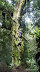 DSC01035.JPG
