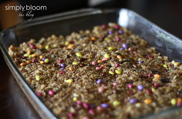 [chocolatesunflowermunchies2of15.jpg]
