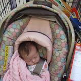 Sleeping in the Grocery Cart