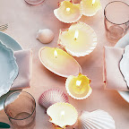 shell candles.jpg
