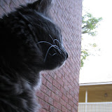 IMG_3967.JPG