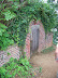 Mt. Vernon In August