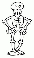 esqueleto-4