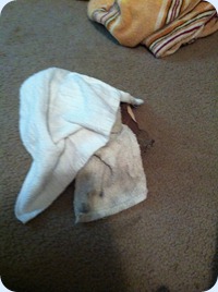photo 3 (2)