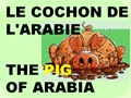 The Pigs of Arabia...خنازير العربية..Les Cochons de l'Arabie