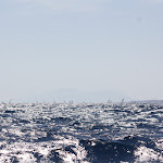 IMG_3621.JPG