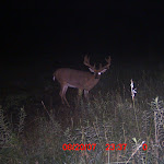ICAM0004.JPG