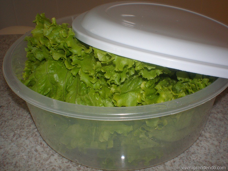 [Higienizando%2520Verduras1%255B5%255D.jpg]