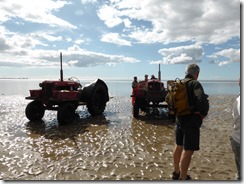 Morecambe Bay Walk (12)