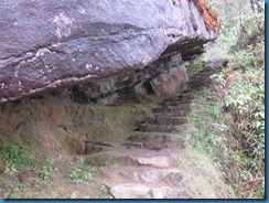IMG_1598 IMG_1598