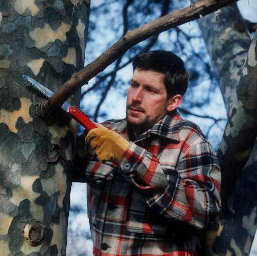 For pruning dead branches... When removing dead wood, it is still important to leave the branch collar intact and to make clean, precise cuts. This enables the tree to heal properly and close the wound, which prevents insects pests and diseases from entering. Keep one hand on the tree to steady yourself as you cut, even if you're standing on a short stepladder.