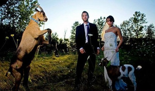 [viral-picdump-pics-6%255B2%255D.jpg]