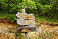 DSC_4118.JPG Photo