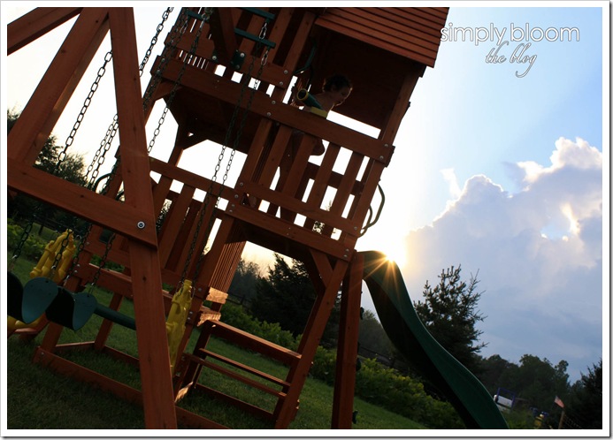 playset (3 of 1)