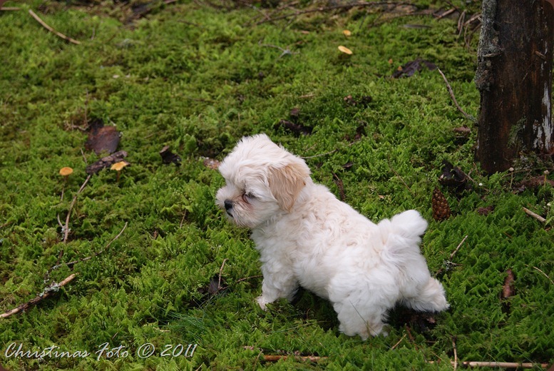 SONY DSC