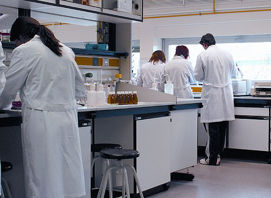 Investigadores.JPG