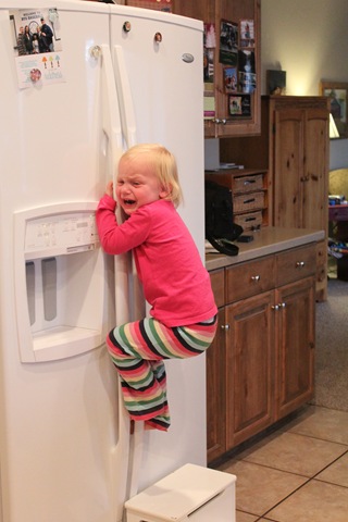 [IMG_7528%255B3%255D.jpg]