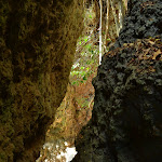 DSC_1864.JPG