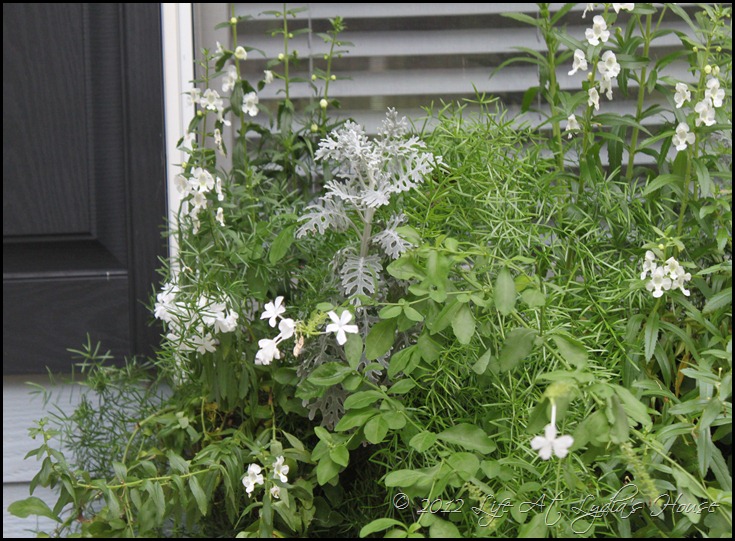 window box 14 window box 14