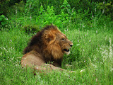 South Africa - 051.JPG