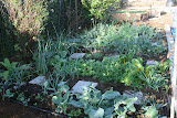 Our Backyard vegetable garden. Have a garden like this installed in your home: http://gardens.thegrowinghome.net