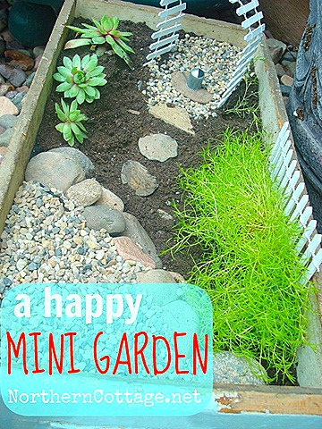 [how-to-make-a-mini-garden-NorthernCo%255B1%255D.jpg]
