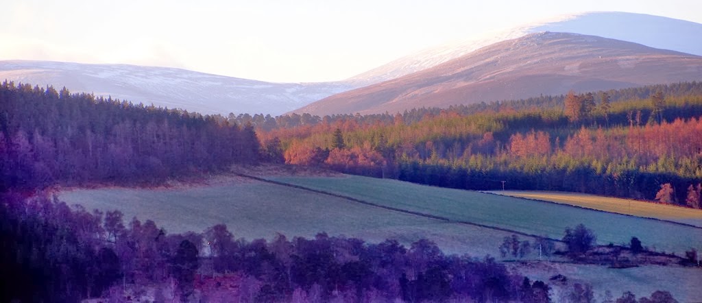 [13%2520Jan%25204%255B3%255D.jpg]