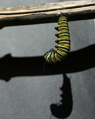 [IMG_8147%255B4%255D.jpg]