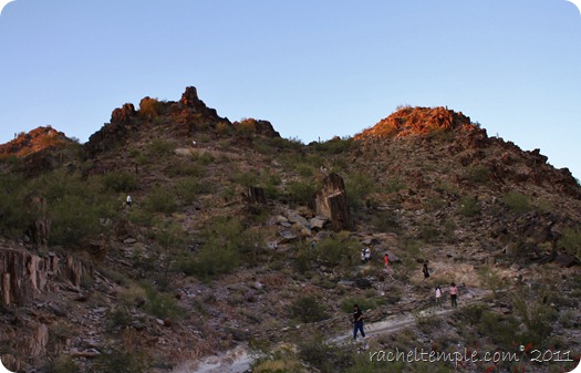 racheltemple.com© 2011