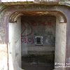 dsc06892.jpg