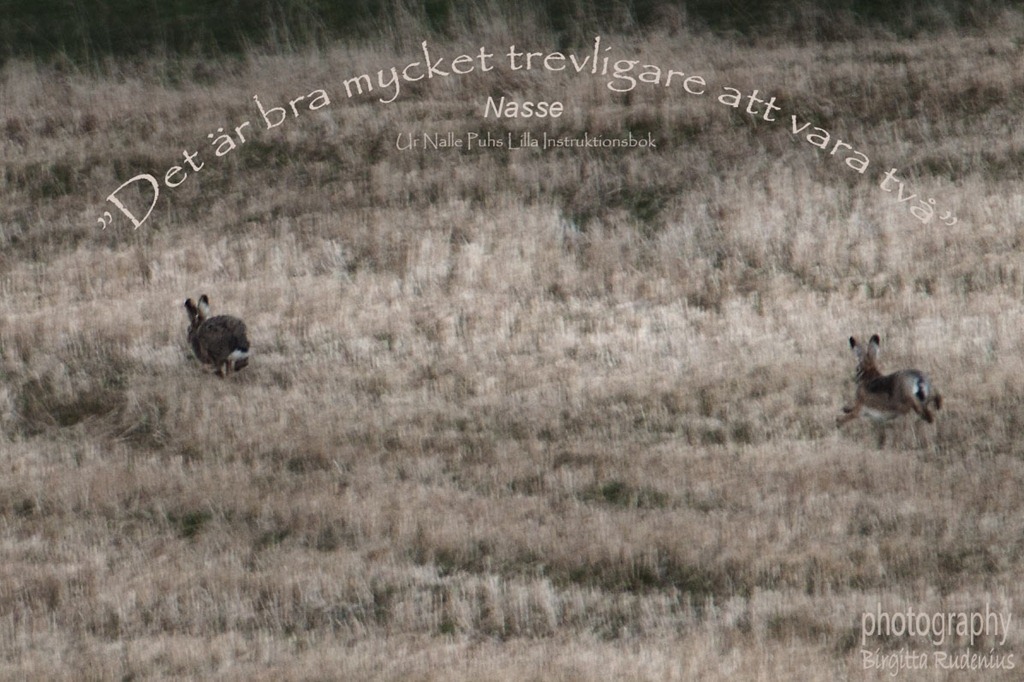 [word_20120421_two%255B2%255D.jpg]