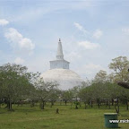 l003.jpg