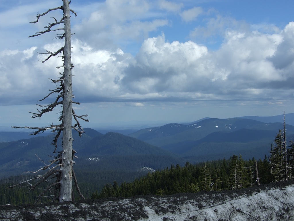 [DSCF71924.jpg]