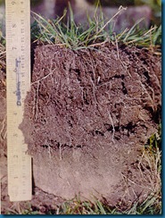 soil-2bg